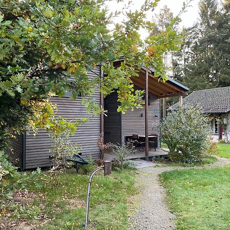 Modernes Tinyhouse Trailer Cabins Am Waldrand - Mit Seezugang 埃京 外观 照片